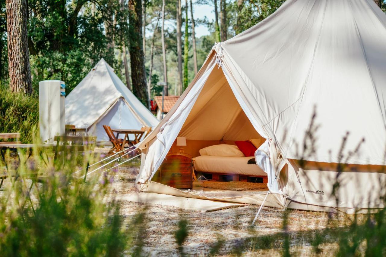 Cocooning Tipi - Seignosse Hotel Eksteriør billede